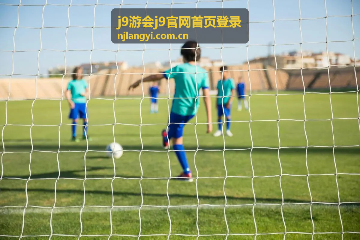 j9游会j9官网首页登录验证码填写场景