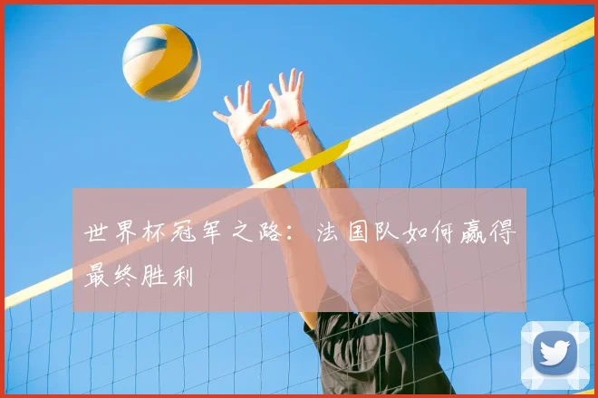 世界杯冠军之路:法国队如何赢得最终胜利