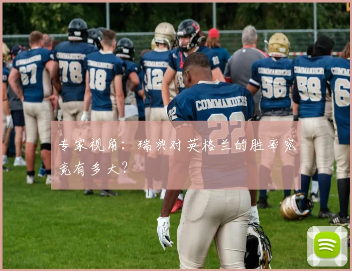 专家视角:瑞典对英格兰的胜率究竟有多大?