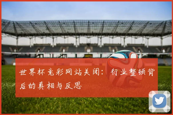 世界杯竞彩网站关闭:行业整顿背后的真相与反思
