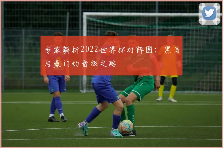 专家解析2022世界杯对阵图:黑马与豪门的晋级之路