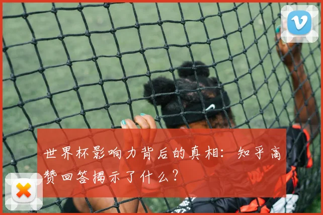 世界杯影响力背后的真相:知乎高赞回答揭示了什么?