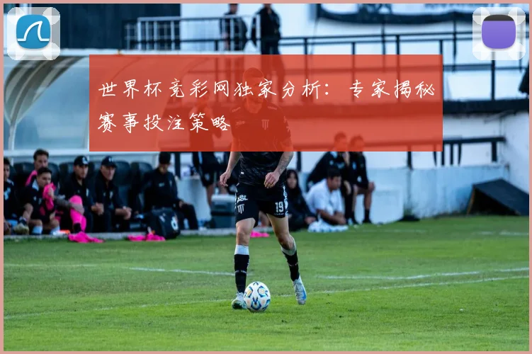 世界杯竞彩网独家分析:专家揭秘赛事投注策略