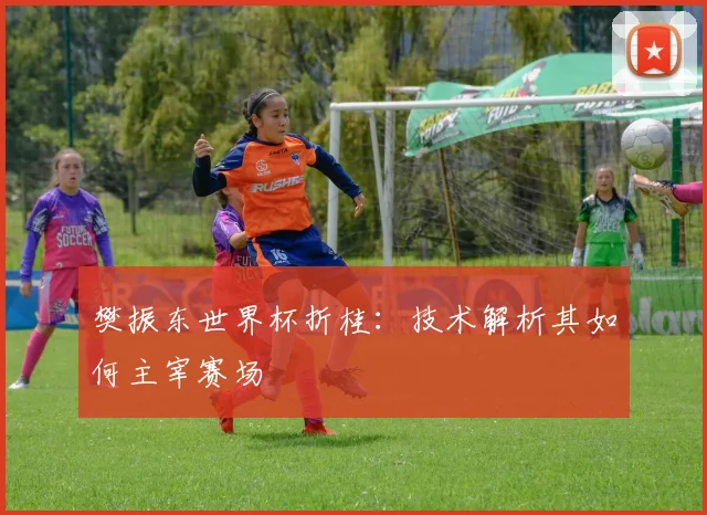 樊振东世界杯折桂：技术解析其如何主宰赛场