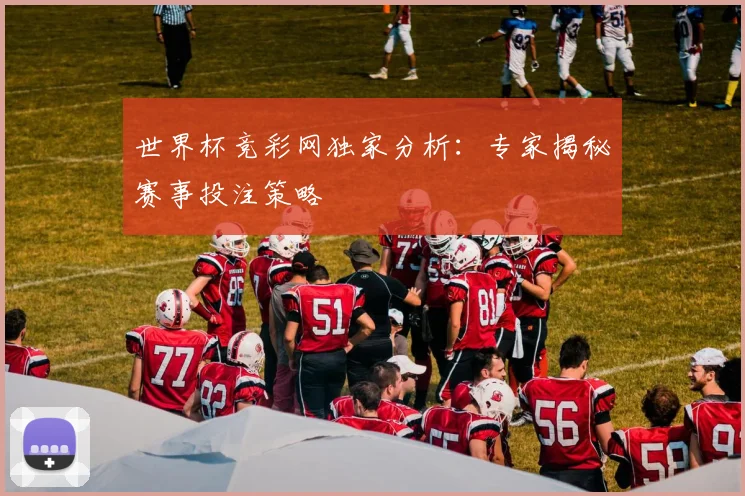世界杯竞彩网独家分析:专家揭秘赛事投注策略