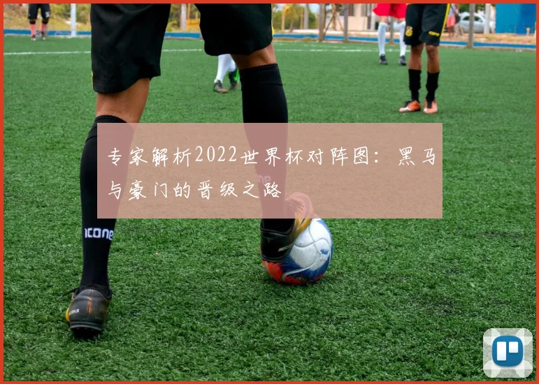 专家解析2022世界杯对阵图:黑马与豪门的晋级之路