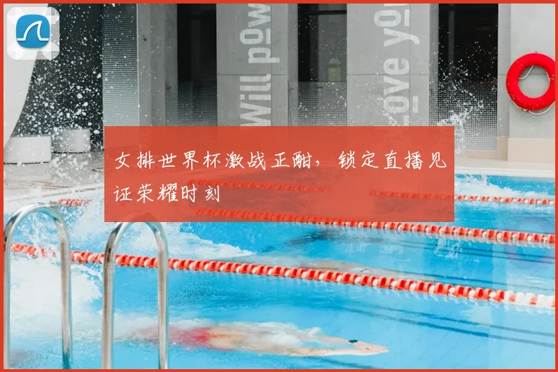 女排世界杯激战正酣，锁定直播见证荣耀时刻