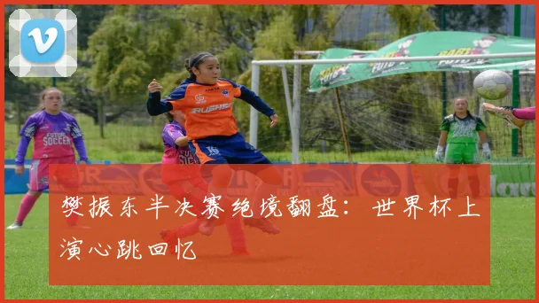 樊振东半决赛绝境翻盘：世界杯上演心跳回忆