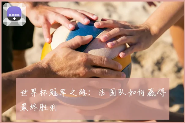 世界杯冠军之路:法国队如何赢得最终胜利