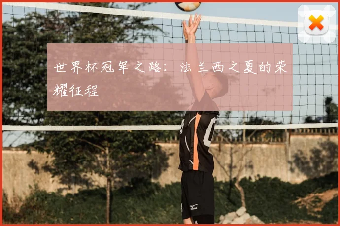 世界杯冠军之路:法兰西之夏的荣耀征程