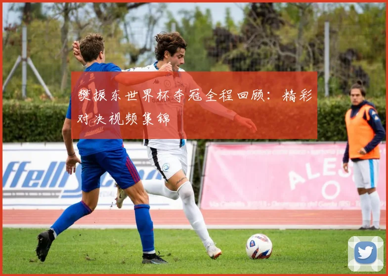 樊振东世界杯夺冠全程回顾：精彩对决视频集锦