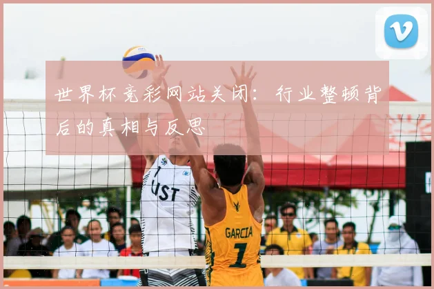 世界杯竞彩网站关闭:行业整顿背后的真相与反思
